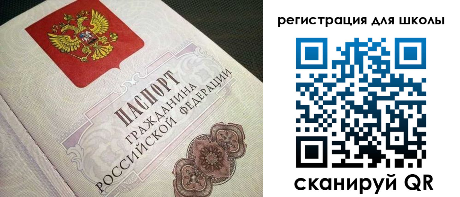прописка паспорт в Алексеевке